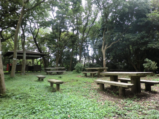 はやま三ヶ岡山緑地